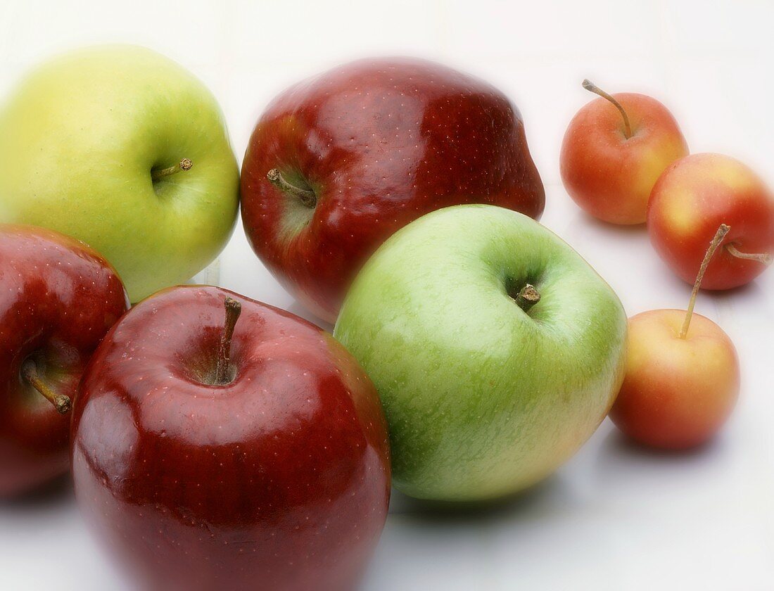 Rote Äpfel, grüne Äpfel & Zieräpfel