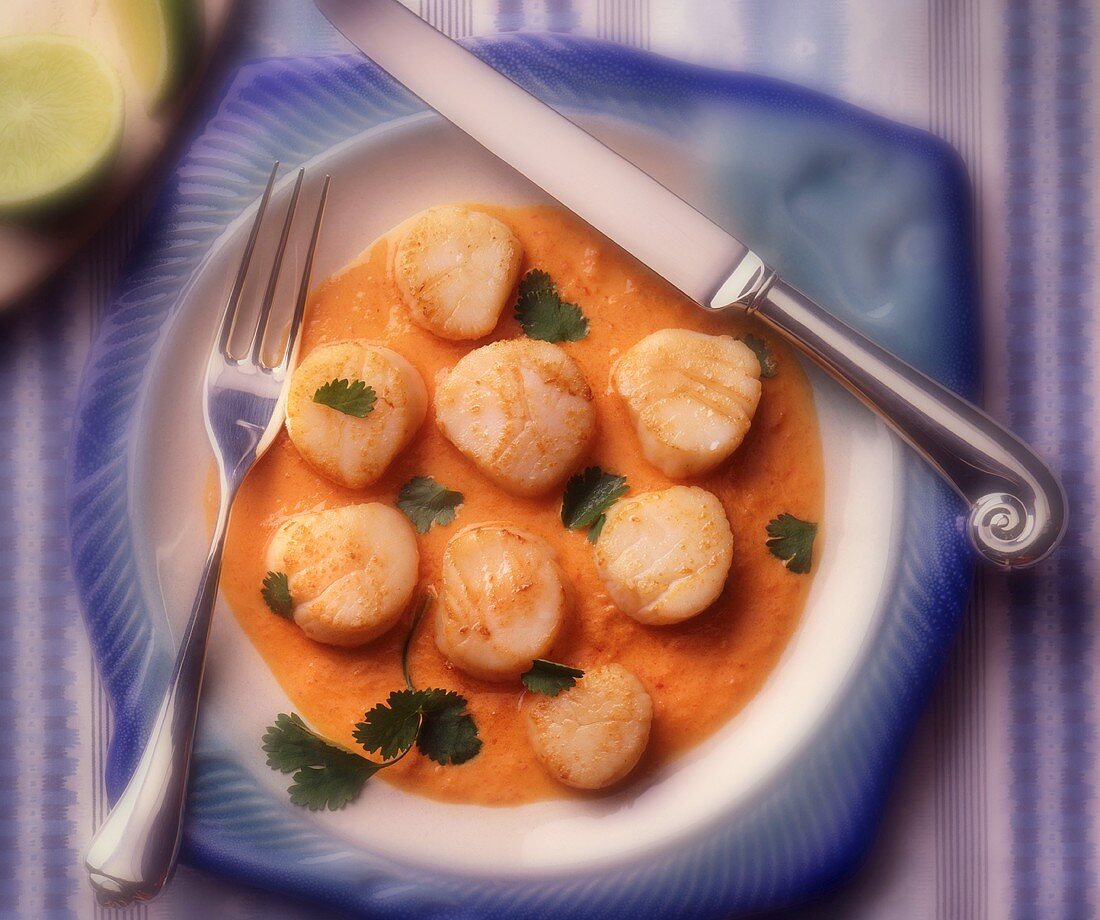 Scallops and Cream Sauce