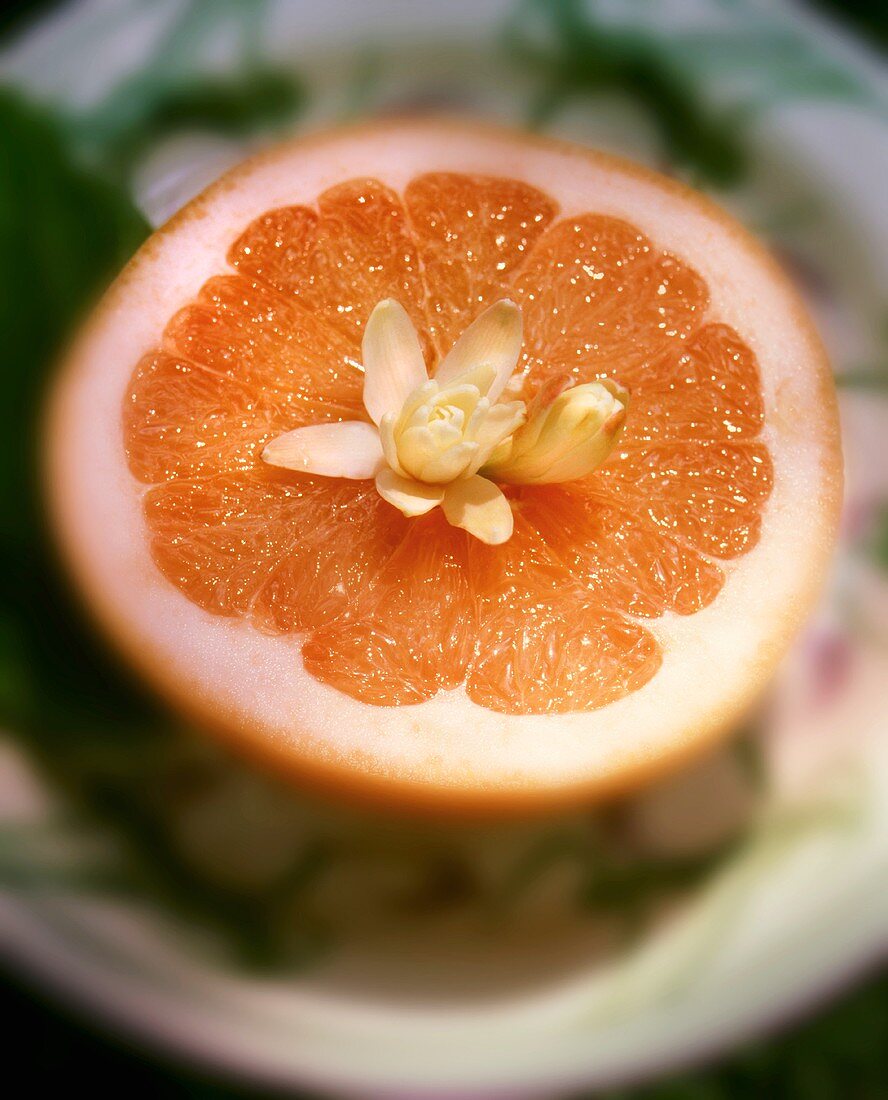 Half a grapefruit with a flower