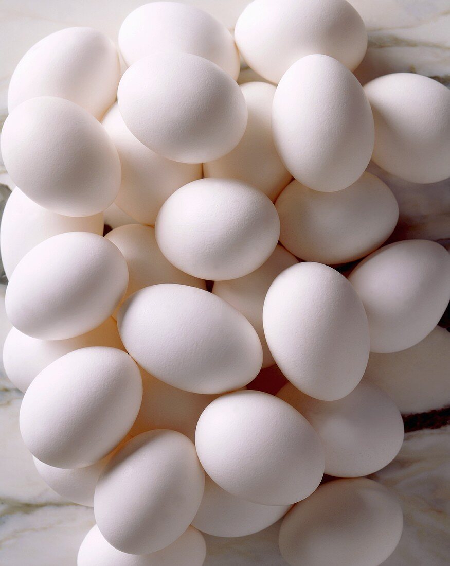 Lots of white eggs, seen from above