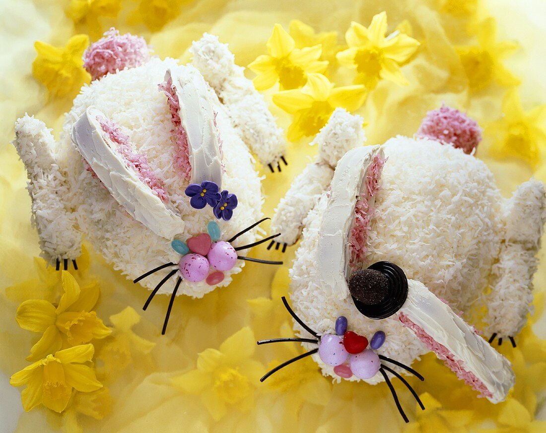 Two Bunny Rabbit Shaped Cakes for Easter on Daffodils