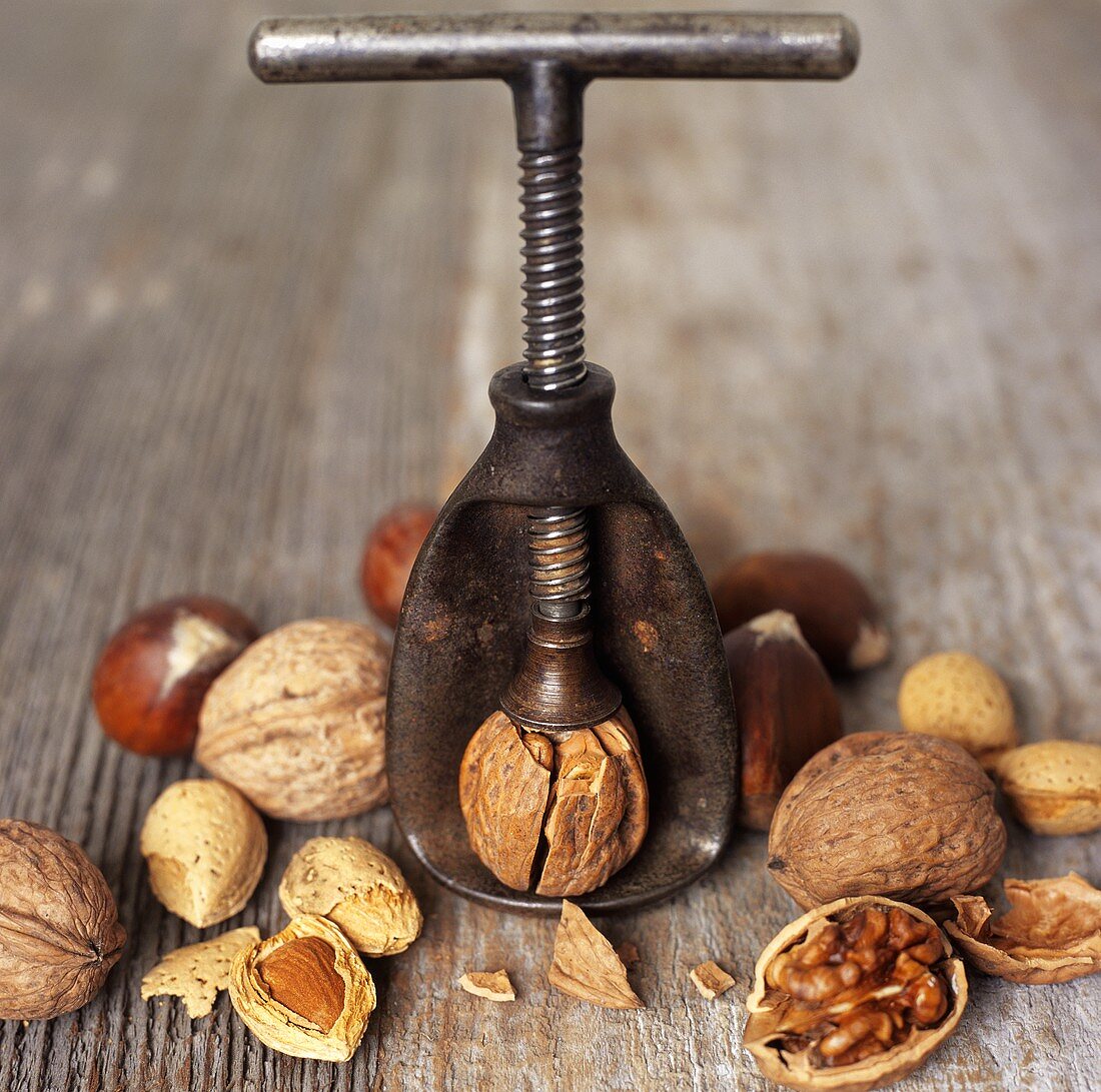 Walnuts, Almonds and Chestnuts; Nut Cracker