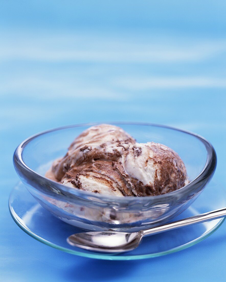 Bowl of Vanilla Fudge Ice Cream; Spoon