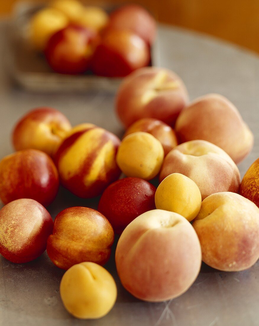 Mixed Fresh Stone Fruit; Nectarines, Peaches and Apricots