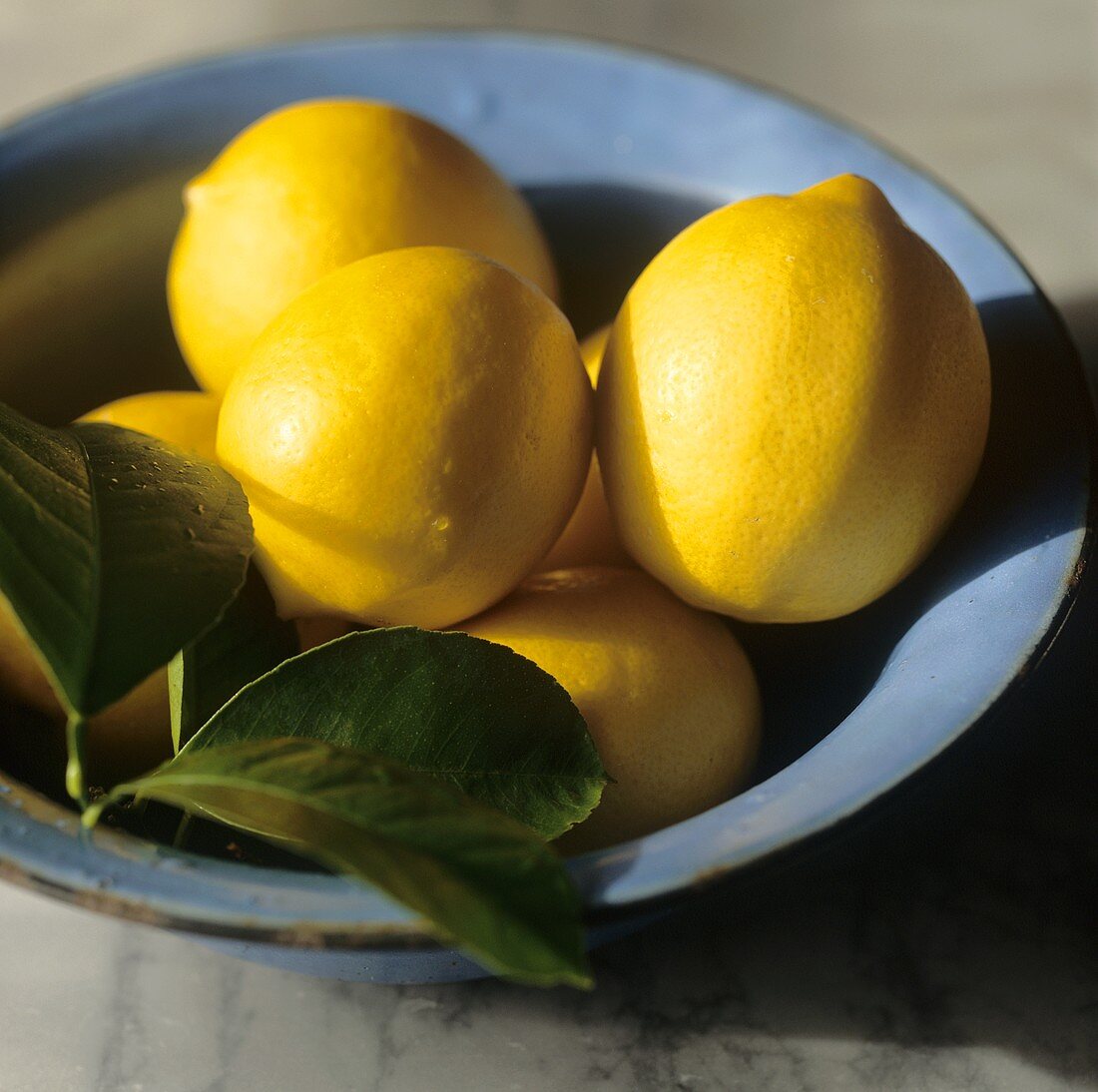Frische Zitronen mit Blättern in Keramikschale
