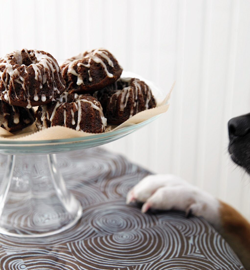 Mini Gingerbread Bundt Cakes with Icing on Pedestal Dish; Dog Climbing on Table