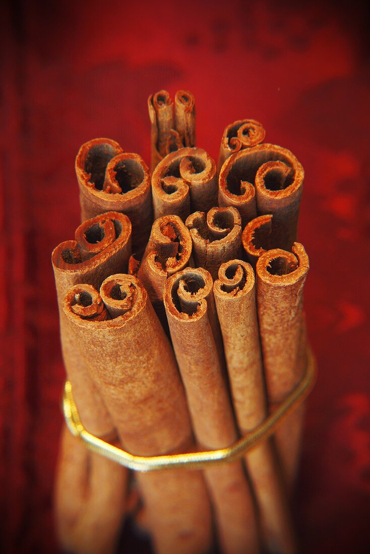 Cinnamon Sticks Bundled and Standing Up