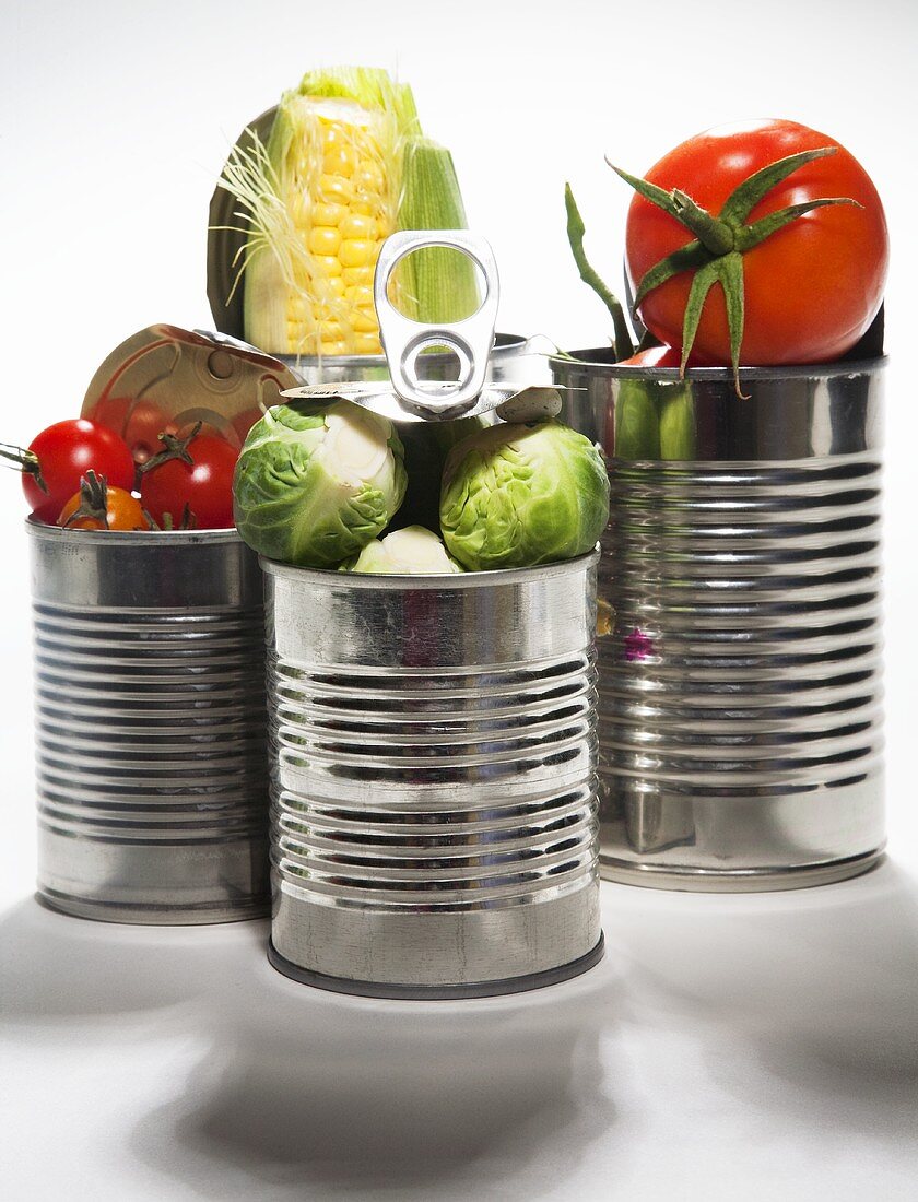 Fresh tomatoes, corn on the cob and Brussels sprouts in food cans