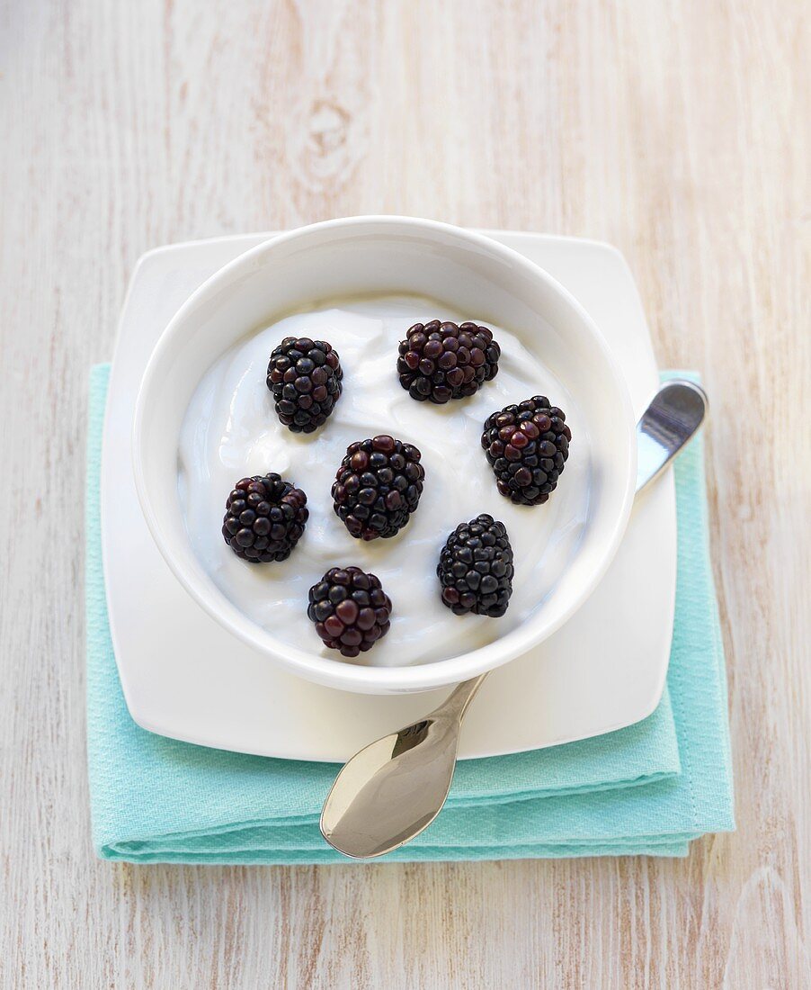 Bowl of Greek Yogurt with Fresh Blackberries