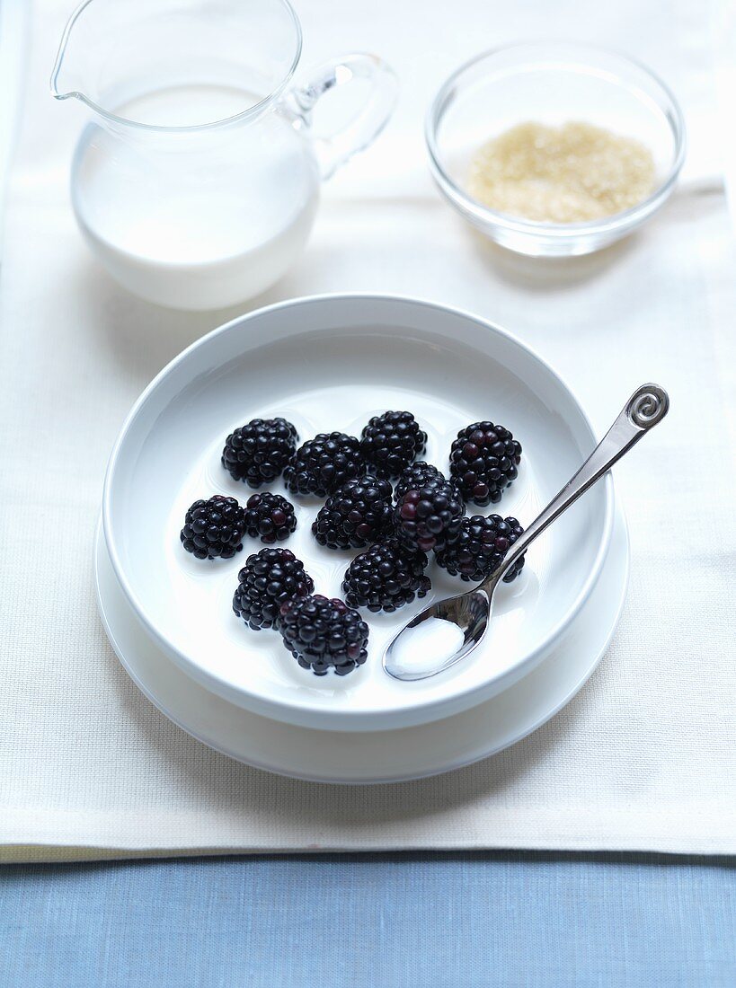 Bowl of Fresh Blackberries with Cream; Spoon