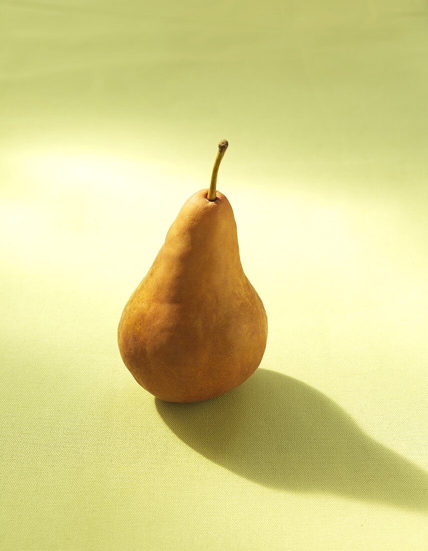 A Single Bosc Pear on a Green Background