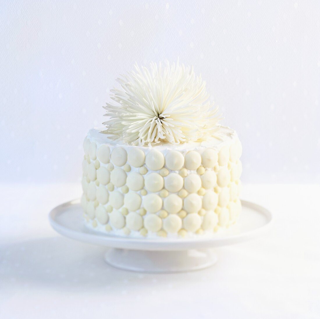 White Chocolate Cake with White Chocolate Buttons and White Flower on Top