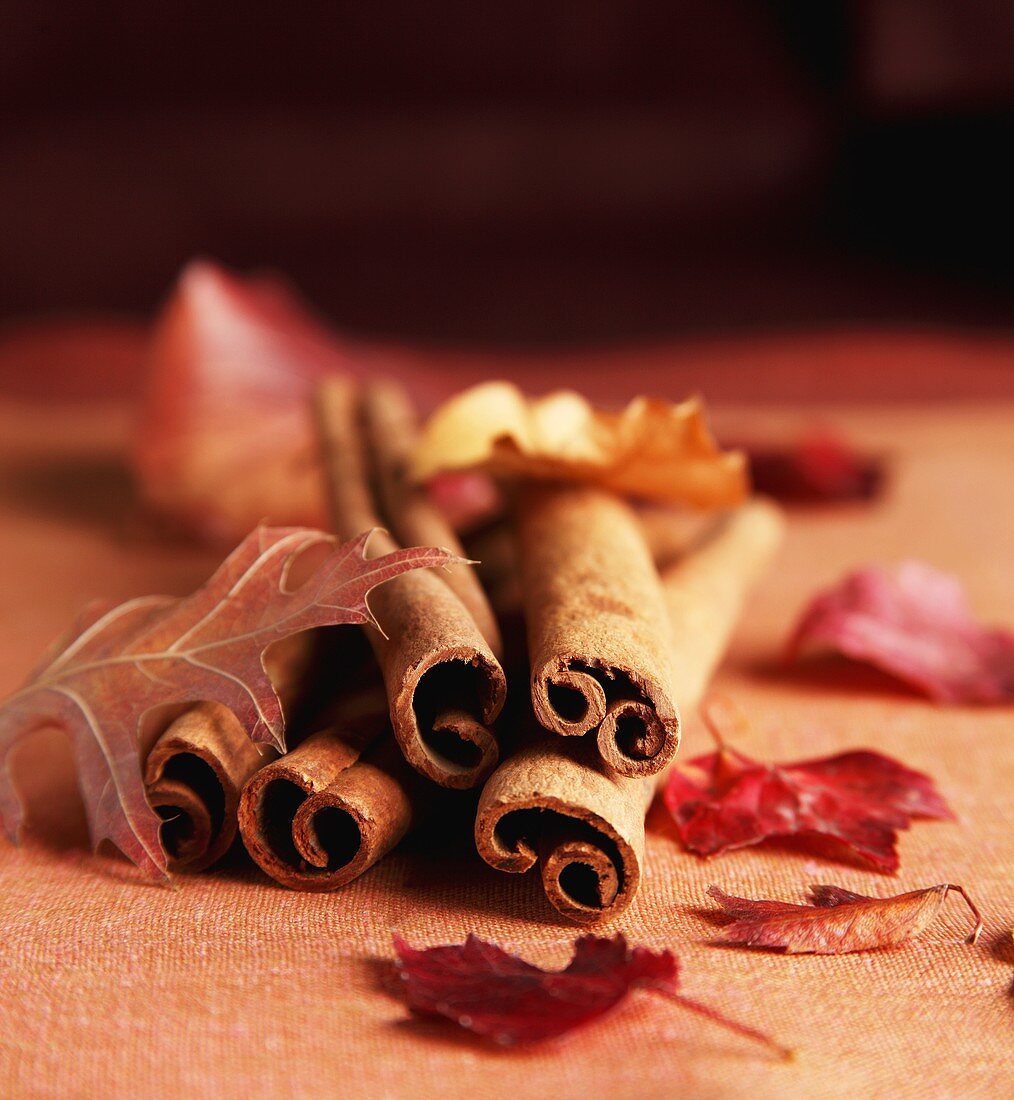 Cinnamon Sticks and Autumn Leaves