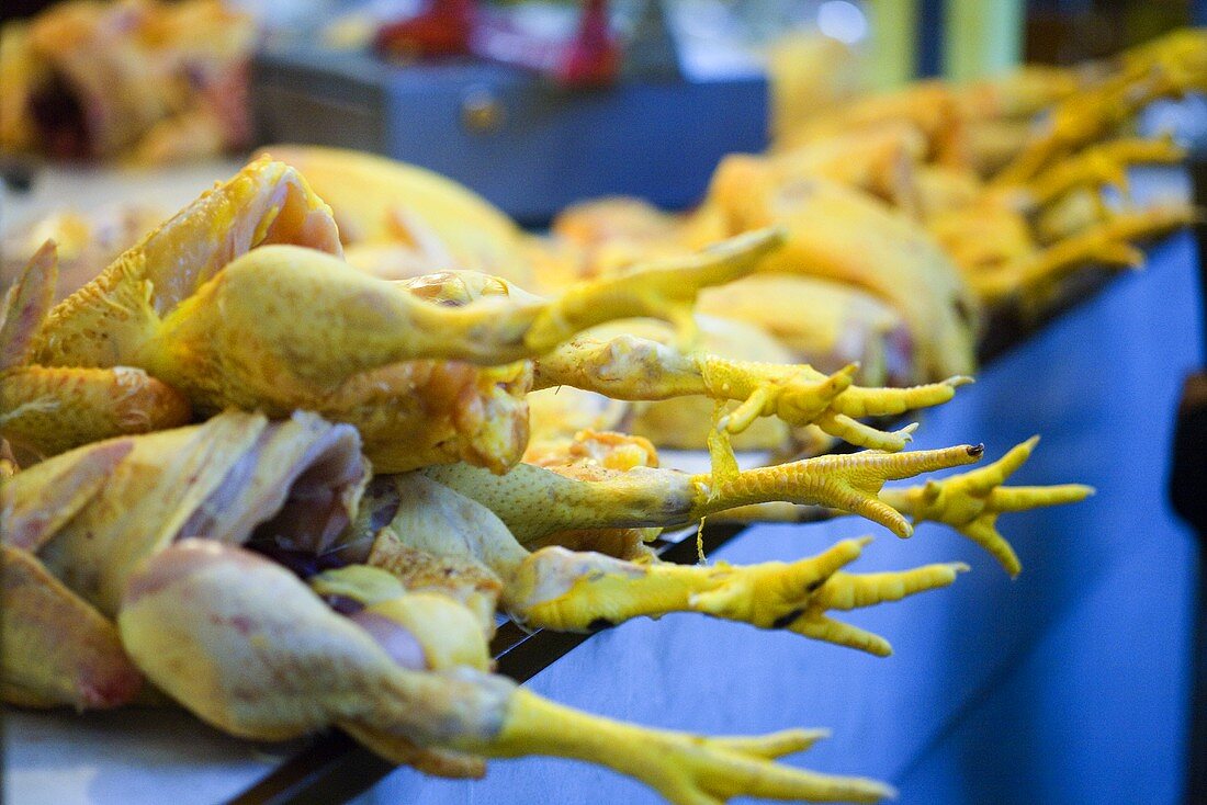 Frisch geschlachtete Hühner auf dem Markt in Oaxaka (Mexiko)