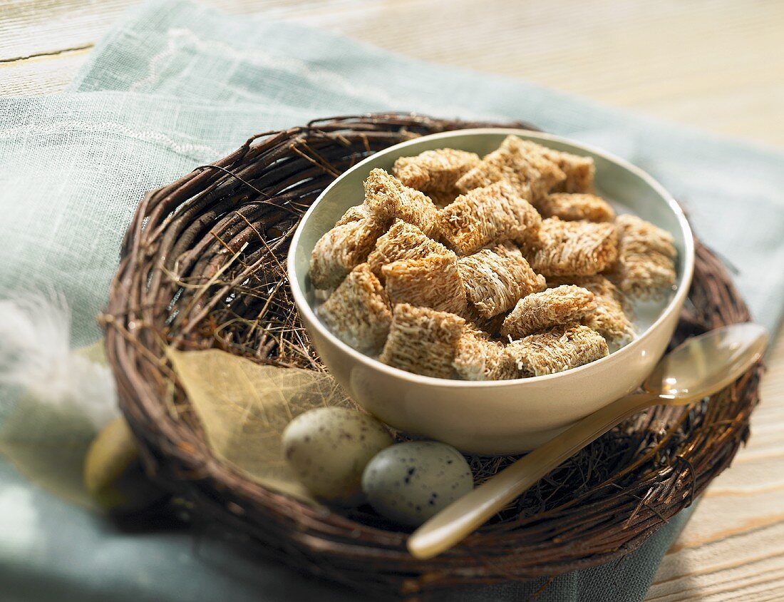 Bowl of Shredded Wheat Cereal on Nest