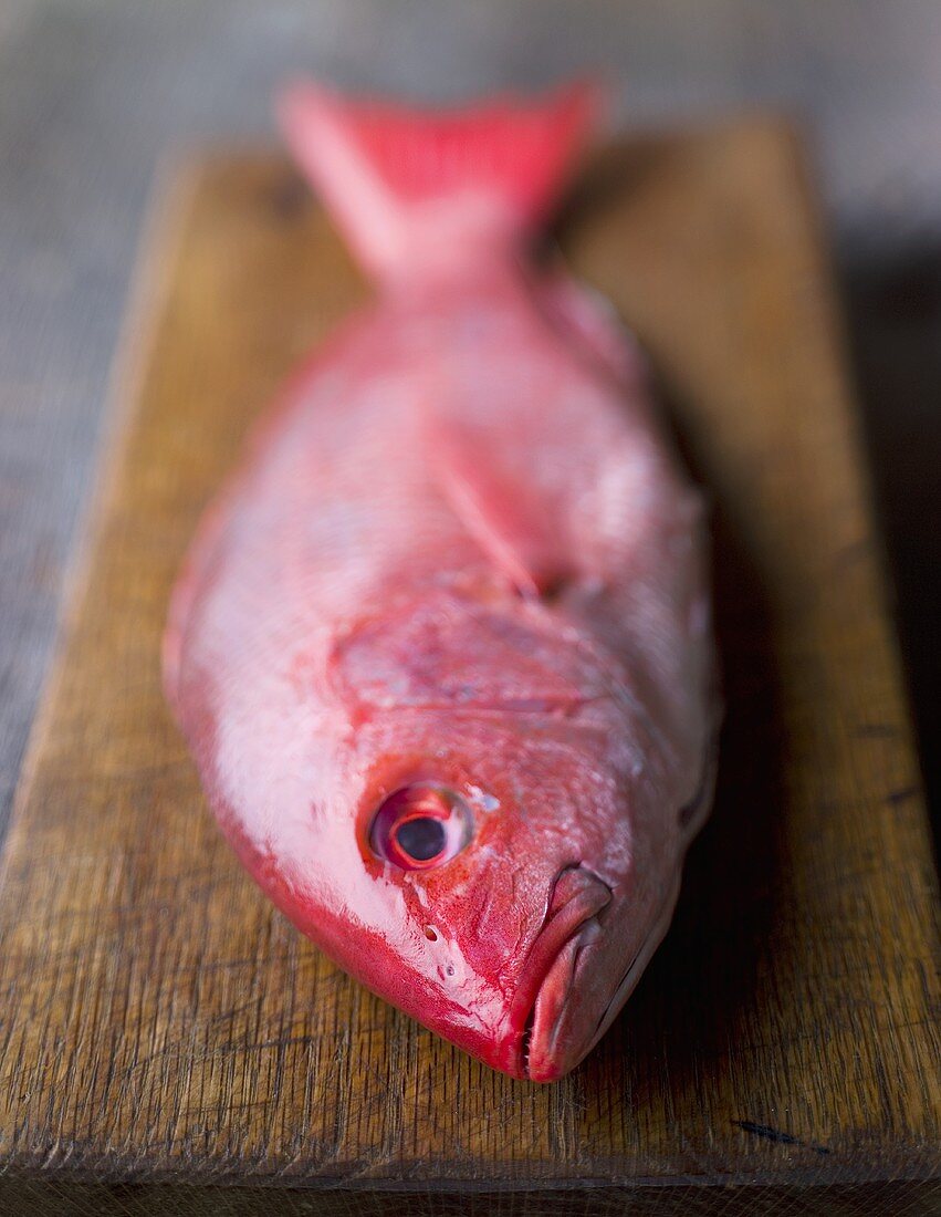 Red Snapper auf Schneidebrett