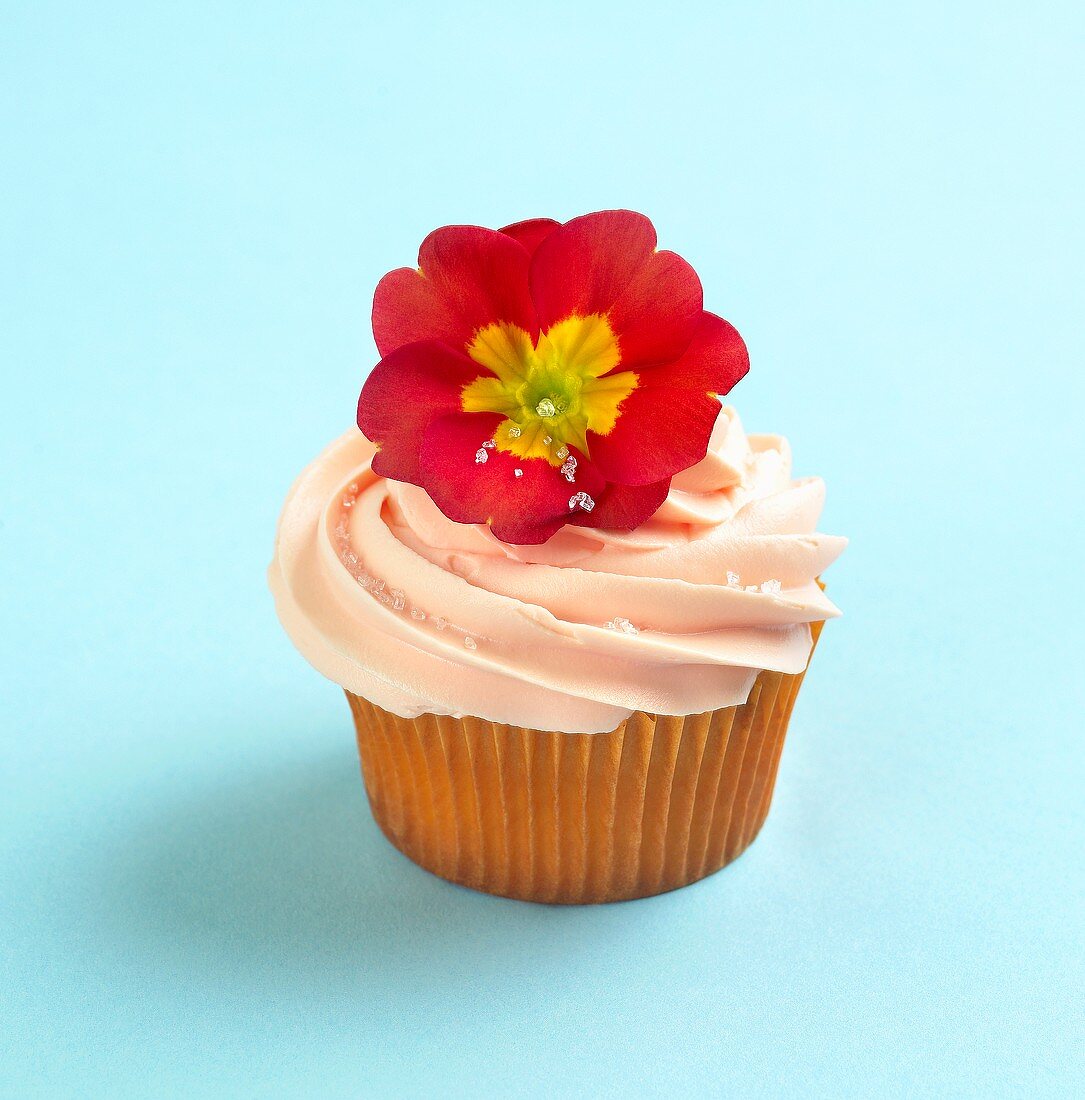 Cupcake mit oranger Buttercreme und roter Primel