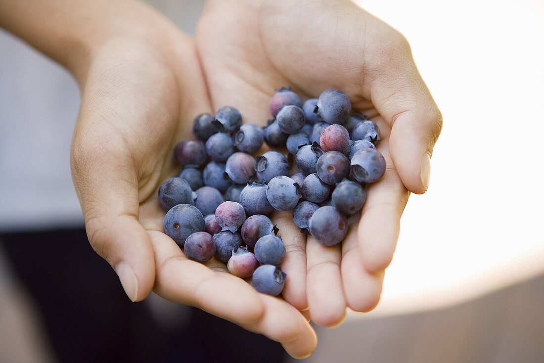 Hands holding fresh blueberries