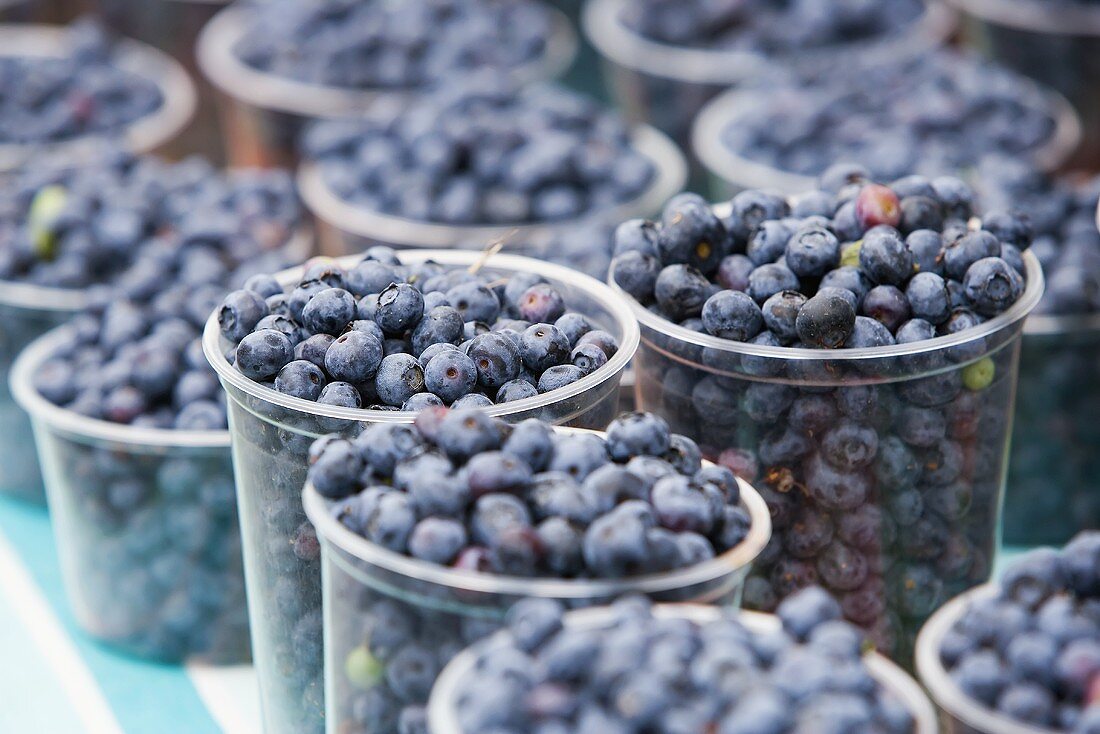 Organic Blueberries at a Farmer's Market