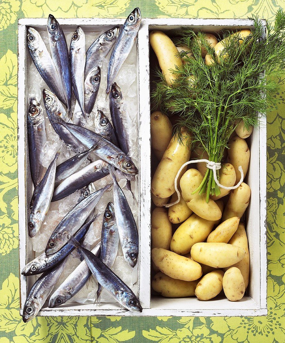 Fresh Sardines on Ice; Fingerling Potatoes with Dill; In Box