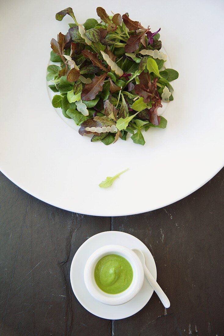 Organic Salad of Fresh Greens with Dressing on the Side