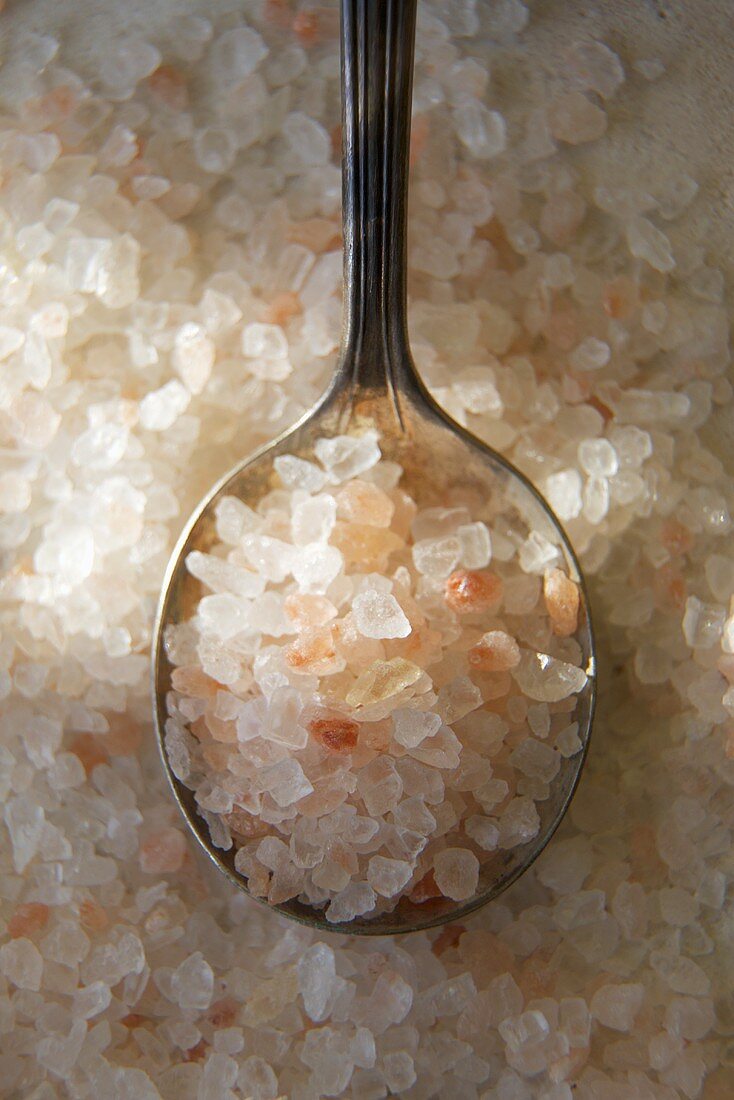 Artisan Himalayan Sea Salt; In and Around a Spoon