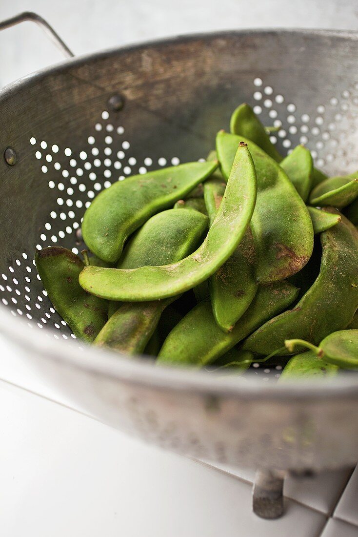 Fava Beans in a Metal Colander