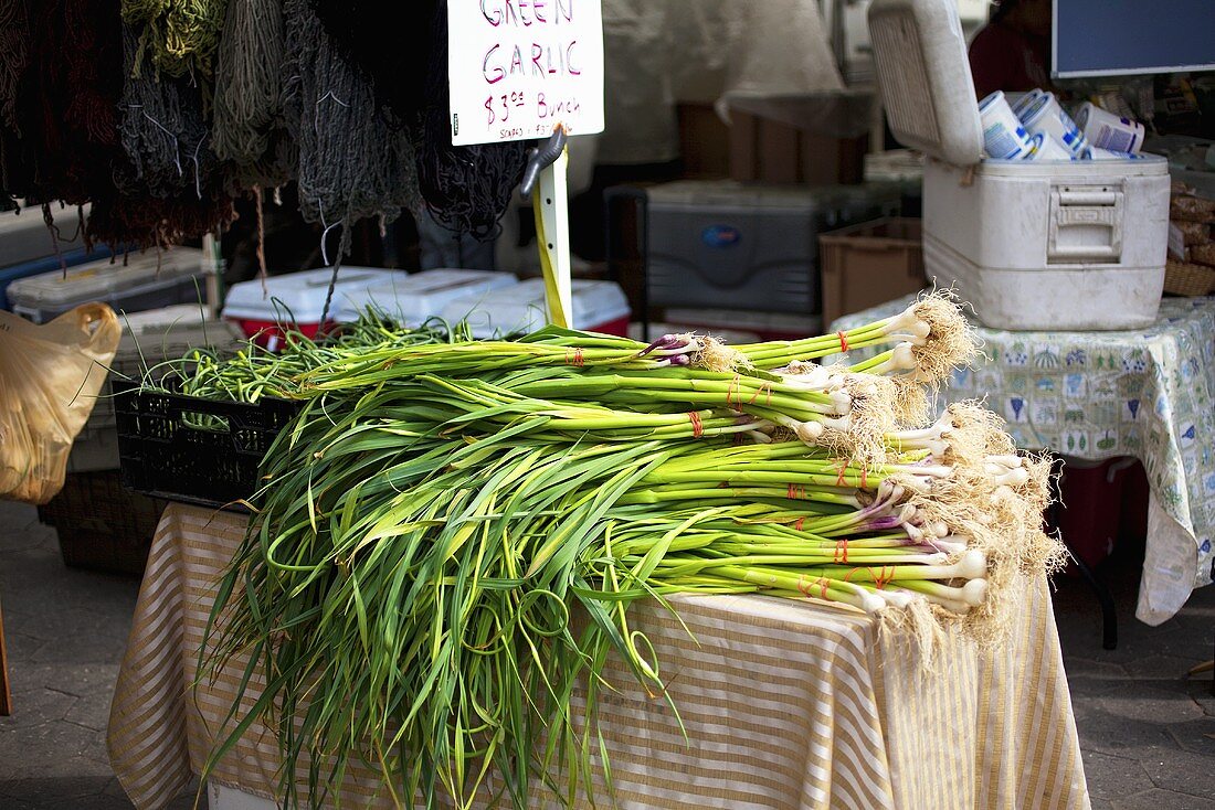 Green Garlic Stalks on Table at Farmer's Market