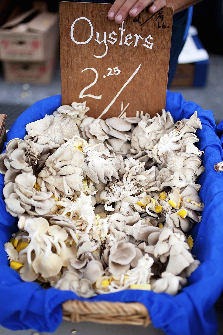 Fresh Oyster Mushrooms at Farmer's Market; Price Sign