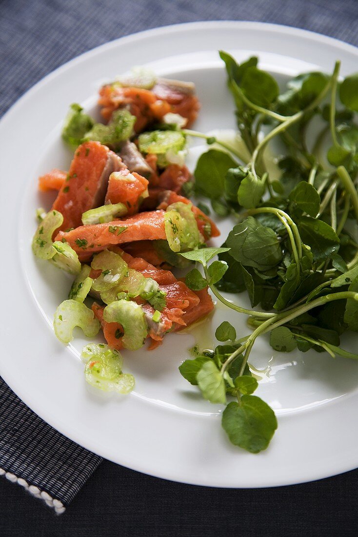 Salmon Ceviche with Fresh Watercress; On White Plate