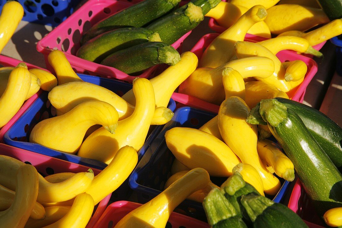 Zucchini und Sommerkürbisse auf dem Markt