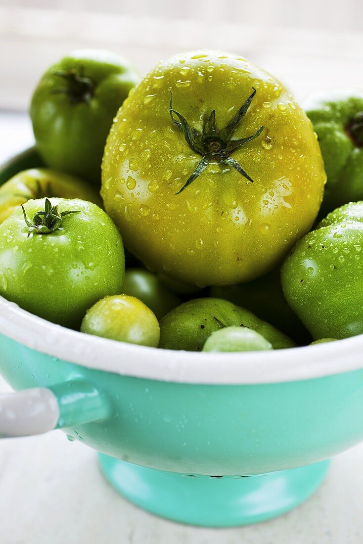 Freshly Washed Green Tomatoes in a Colander