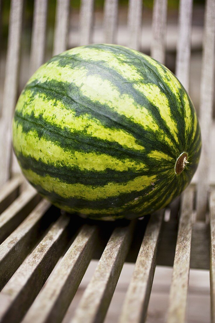 Whole Watermelon on Wooden Outdoor Chair