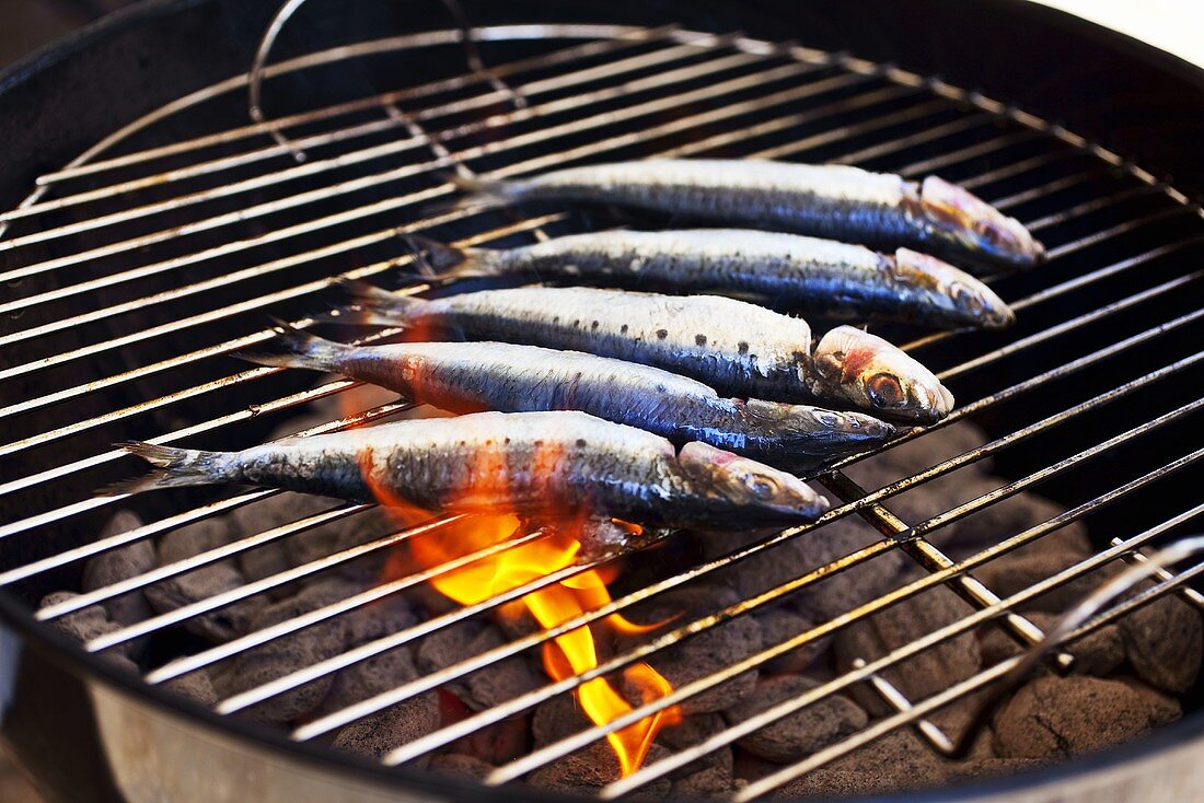 Sardinen auf Holzkohlengrill