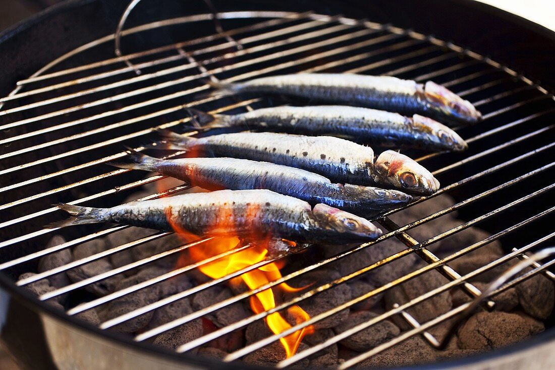 Sardines Cooking on Charcoal Grill