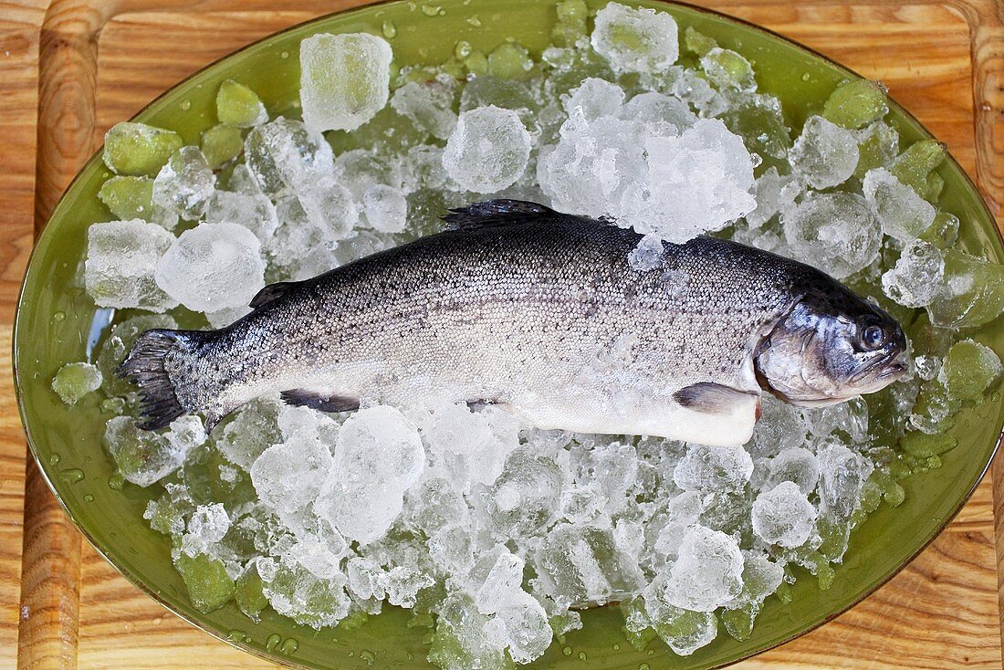 Whole Fresh Brook Trout on Ice on Platter