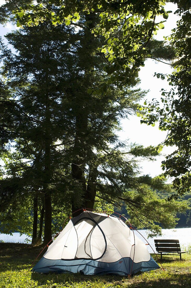 Camping Tent Set up by a Lake