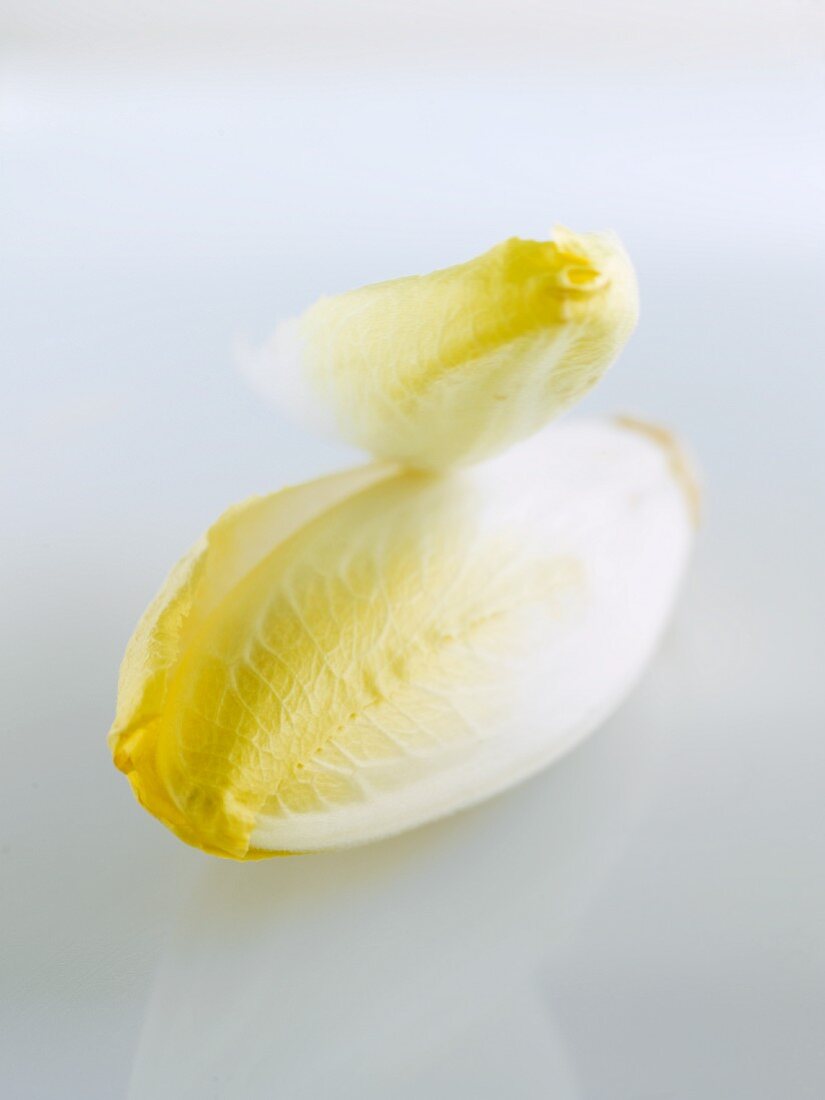 A head of chicory