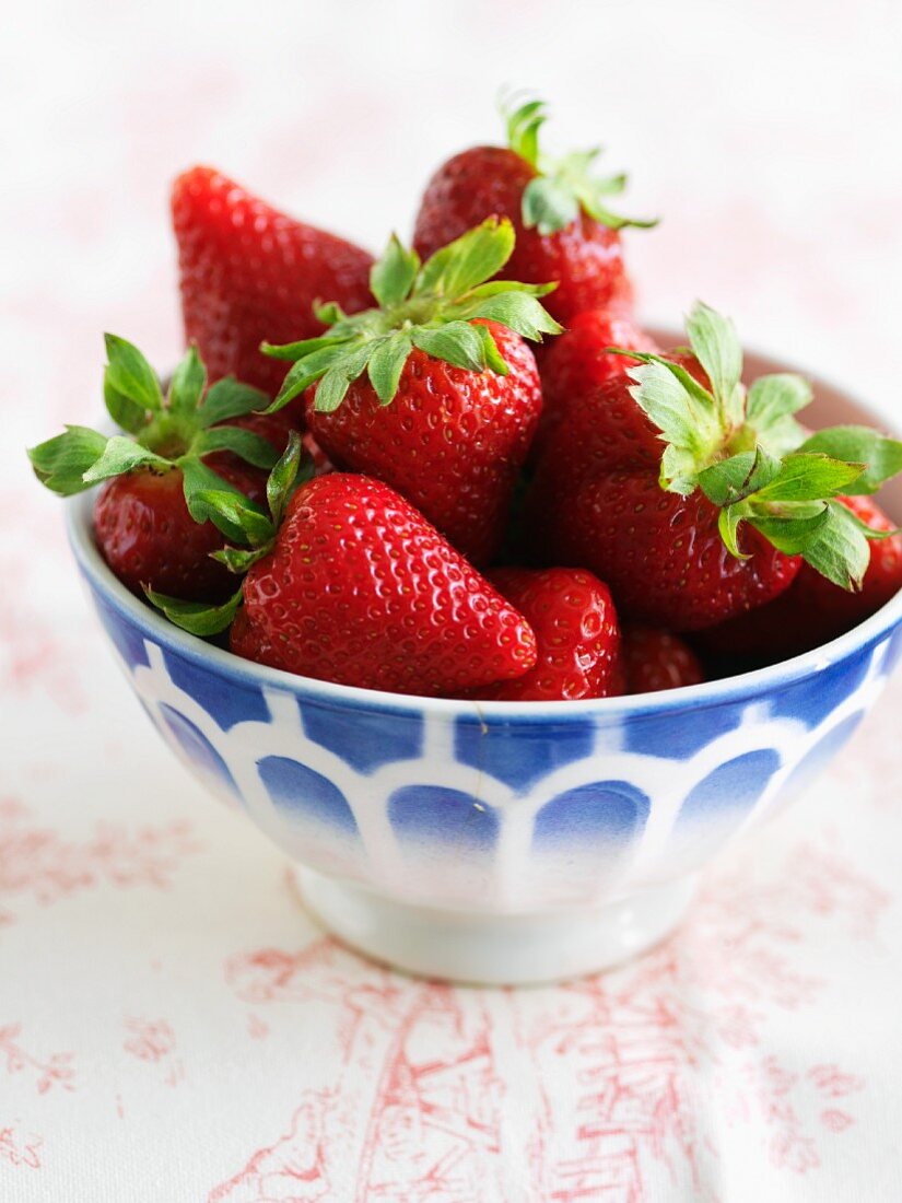 Bowl of Fresh Strawberries