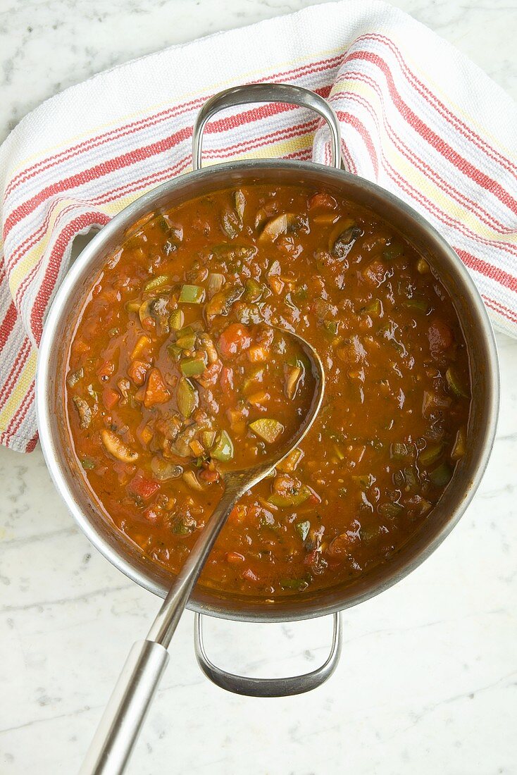 Pot of Homemade Vegetable Pasta Sauce; Spoon