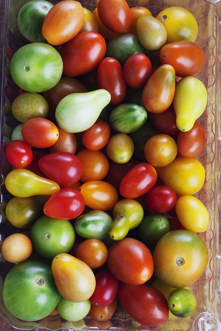 Heirloom Tomaten in einer Plastikschale