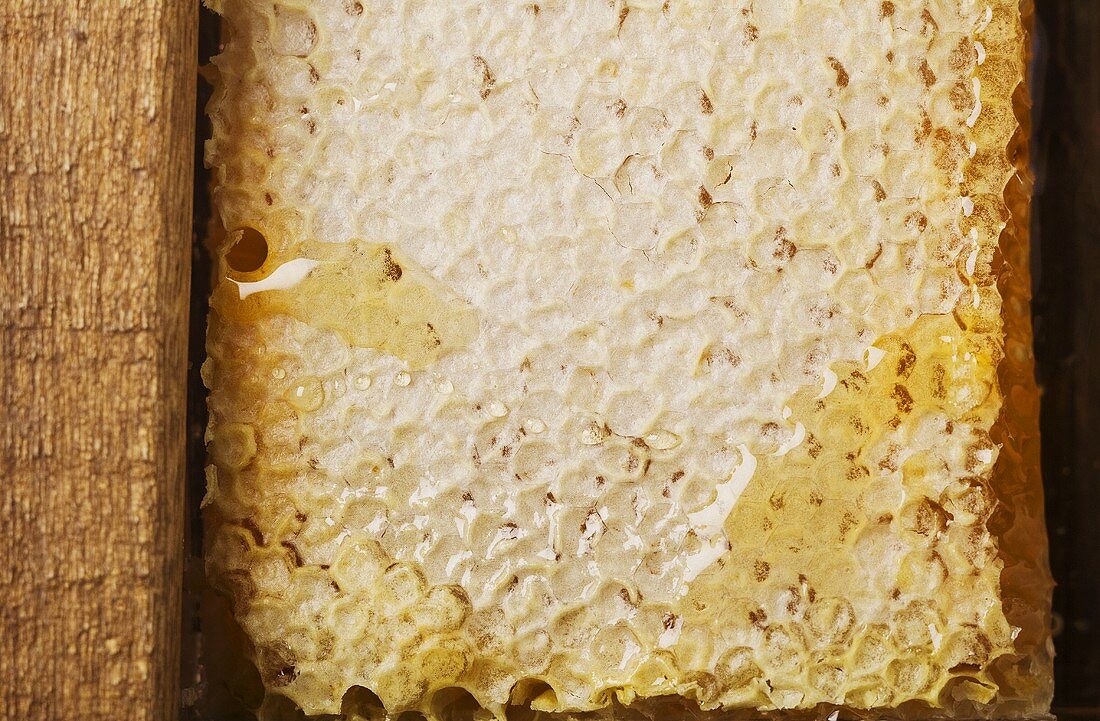 Honey Comb