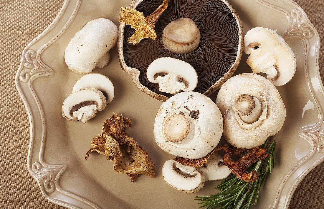 Variety of Mushrooms