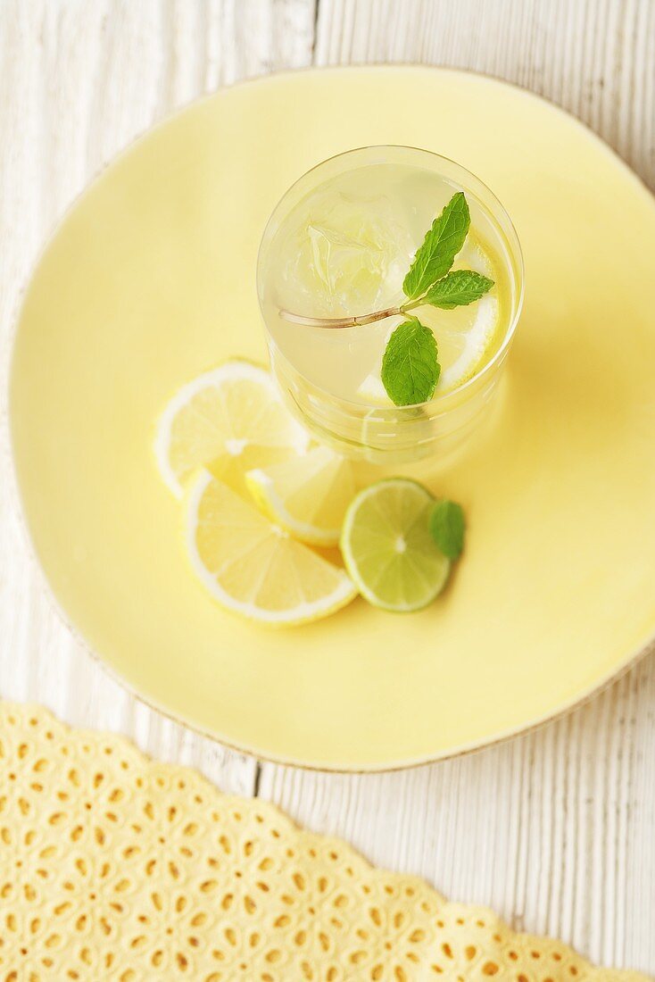 Glass of Lemonade with Mint Sprig; From Above