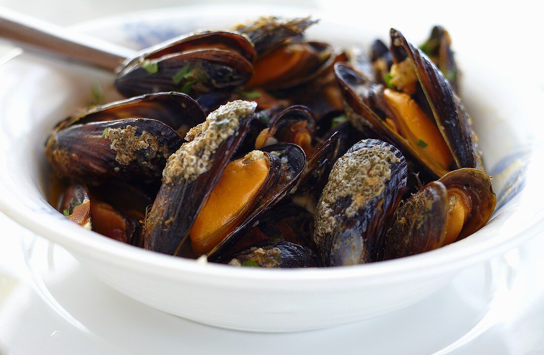 Bowl of Fresh Mussels