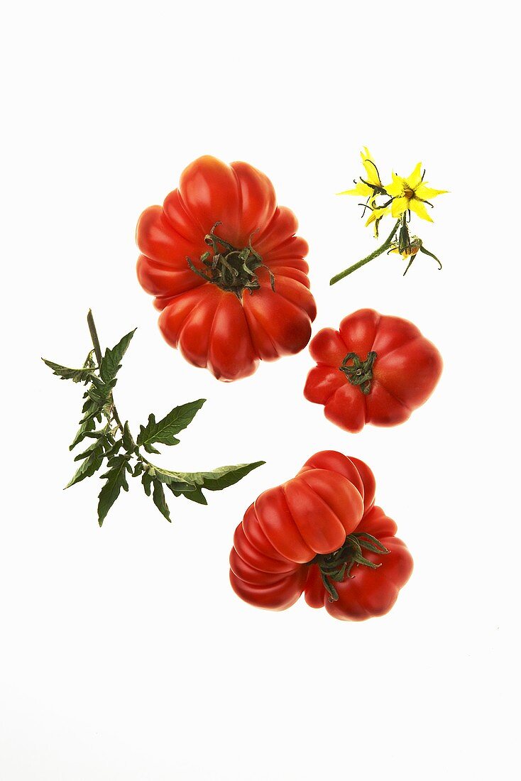 Three Red Tomatoes on White Background