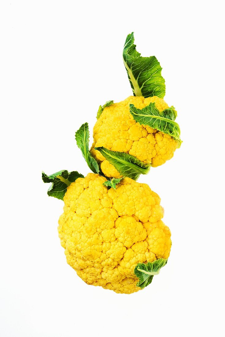 Two Heads of Yellow Cauliflower