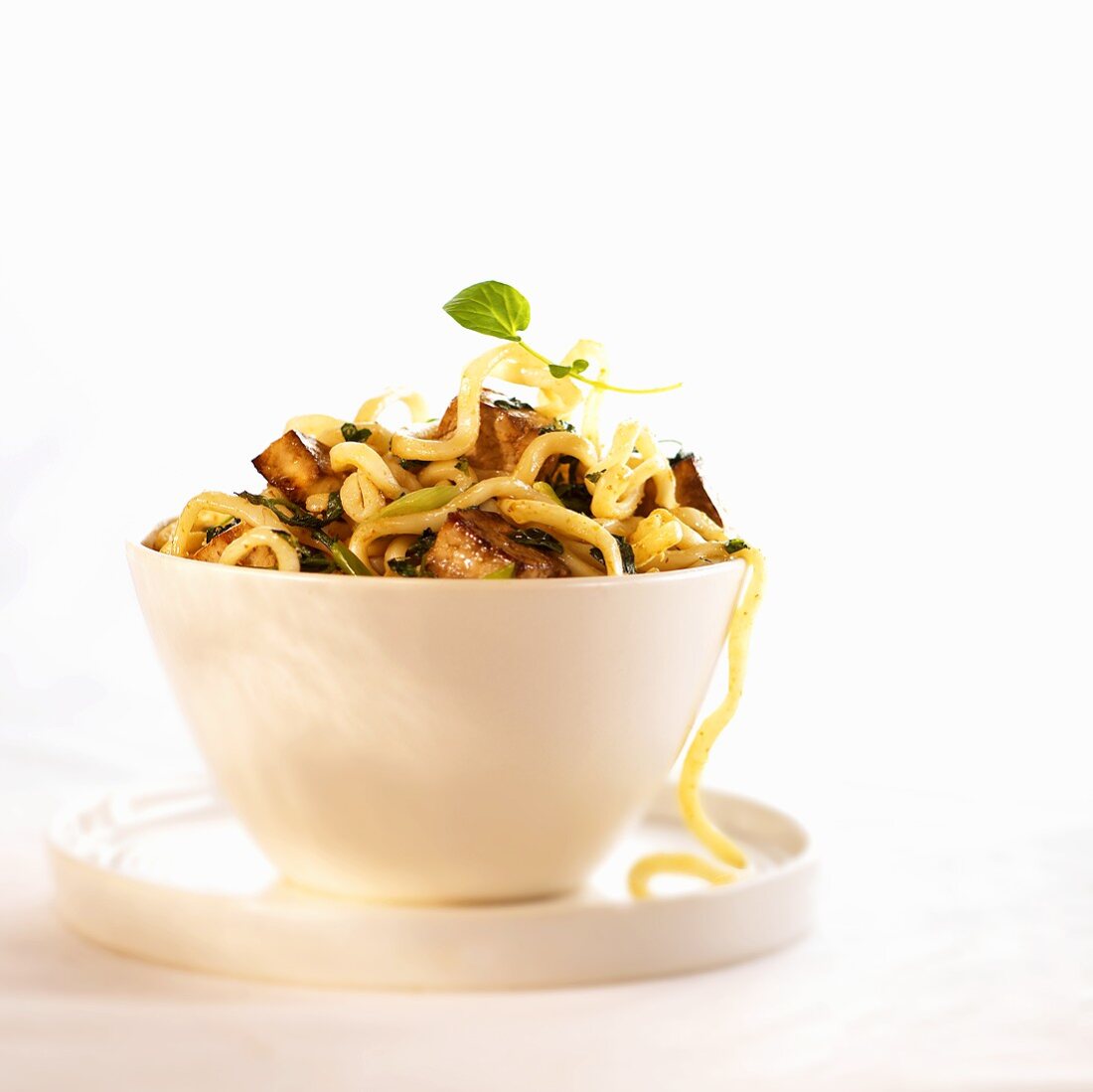 Fried Udon Noodles with Tofu; in a White Bowl