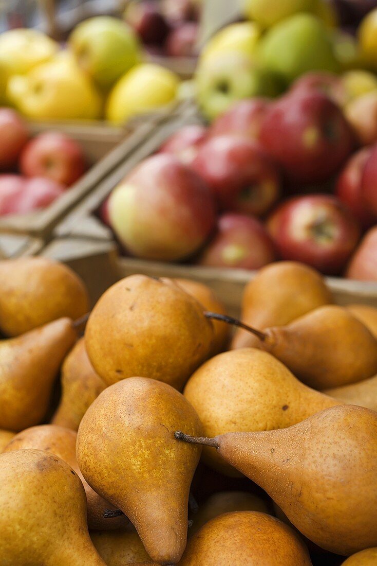 Birnen und Apfel auf dem Markt (Bronx, New York)