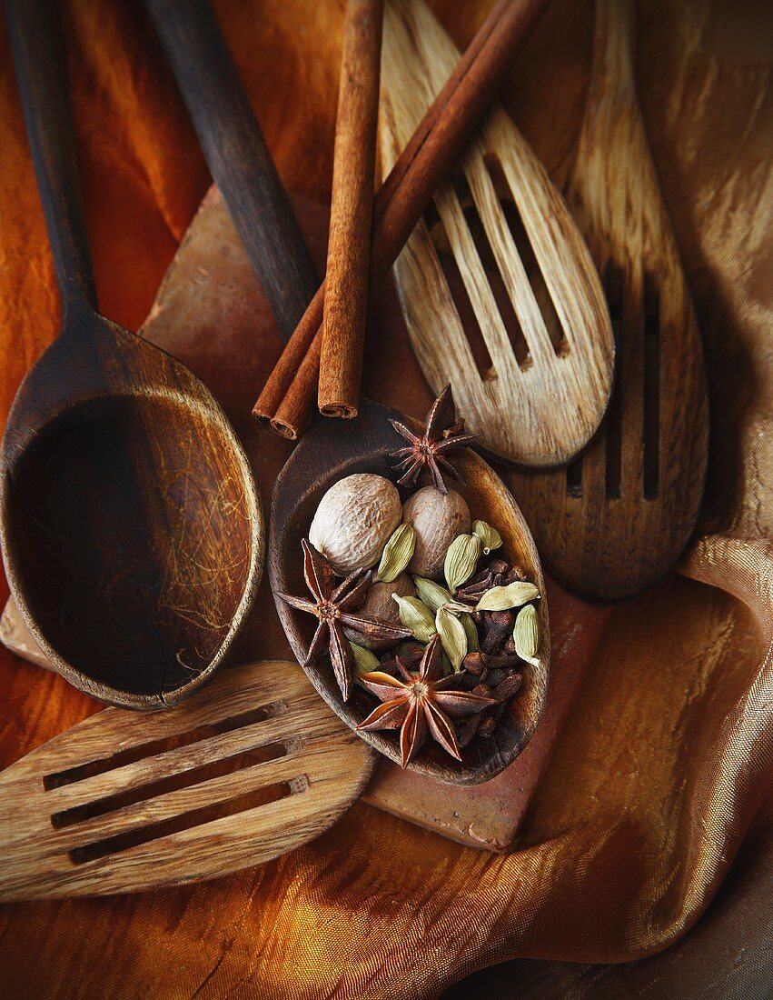 Assorted Wooden Spoons with Spices